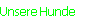 Hier geht es zu unseren Hunden